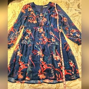 Standards and Practices dress